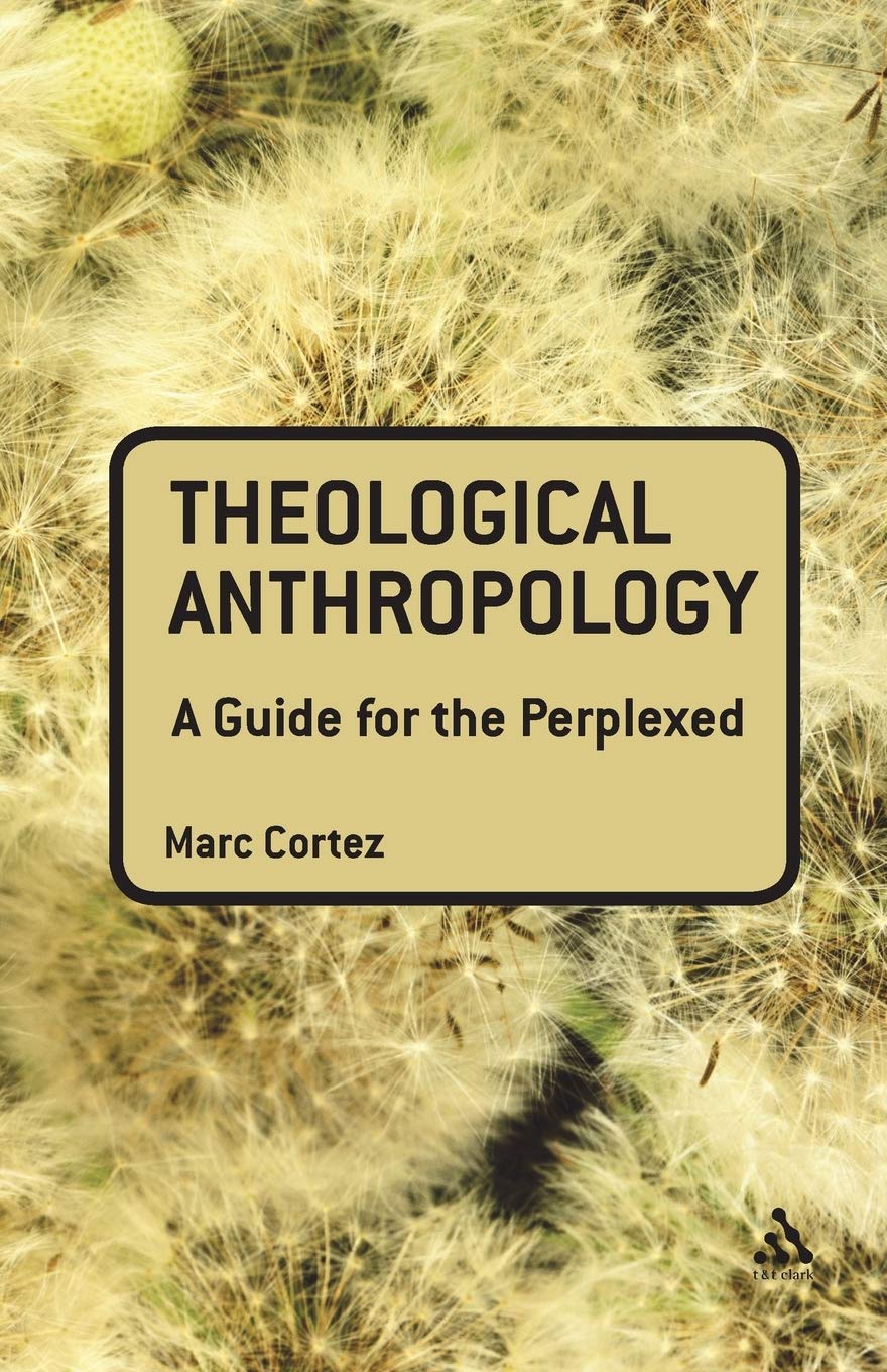 Theological Anthropology: A Guide for the Perplexed (Guides for the Perplexed),Used