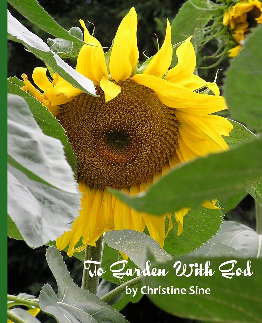 To Garden With God,Used