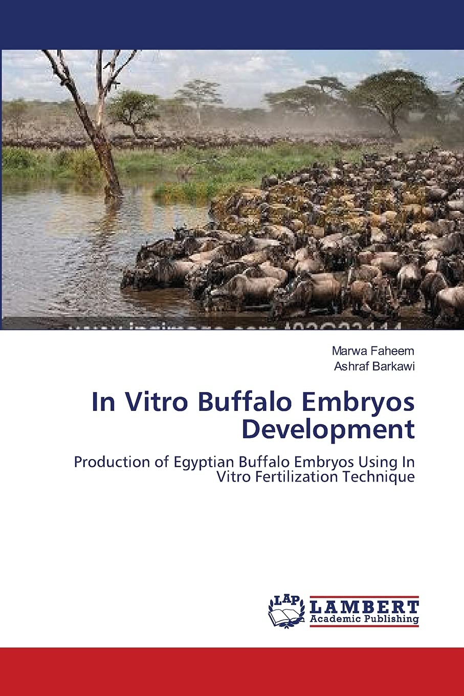 In Vitro Buffalo Embryos Development: Production of Egyptian Buffalo Embryos Using In Vitro Fertilization Technique,Used