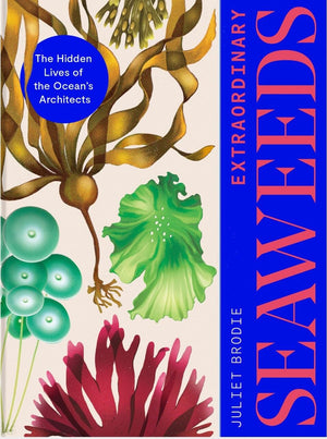 Extraordinary Seaweeds: The Hidden Lives Of The OceanS Architects