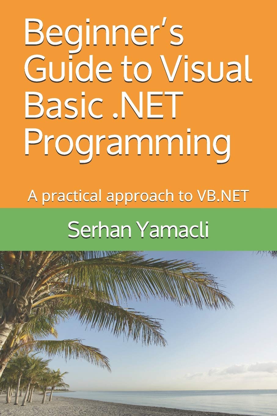 Beginners Guide to Visual Basic .NET Programming: A Practical Approach to VB.NET,Used