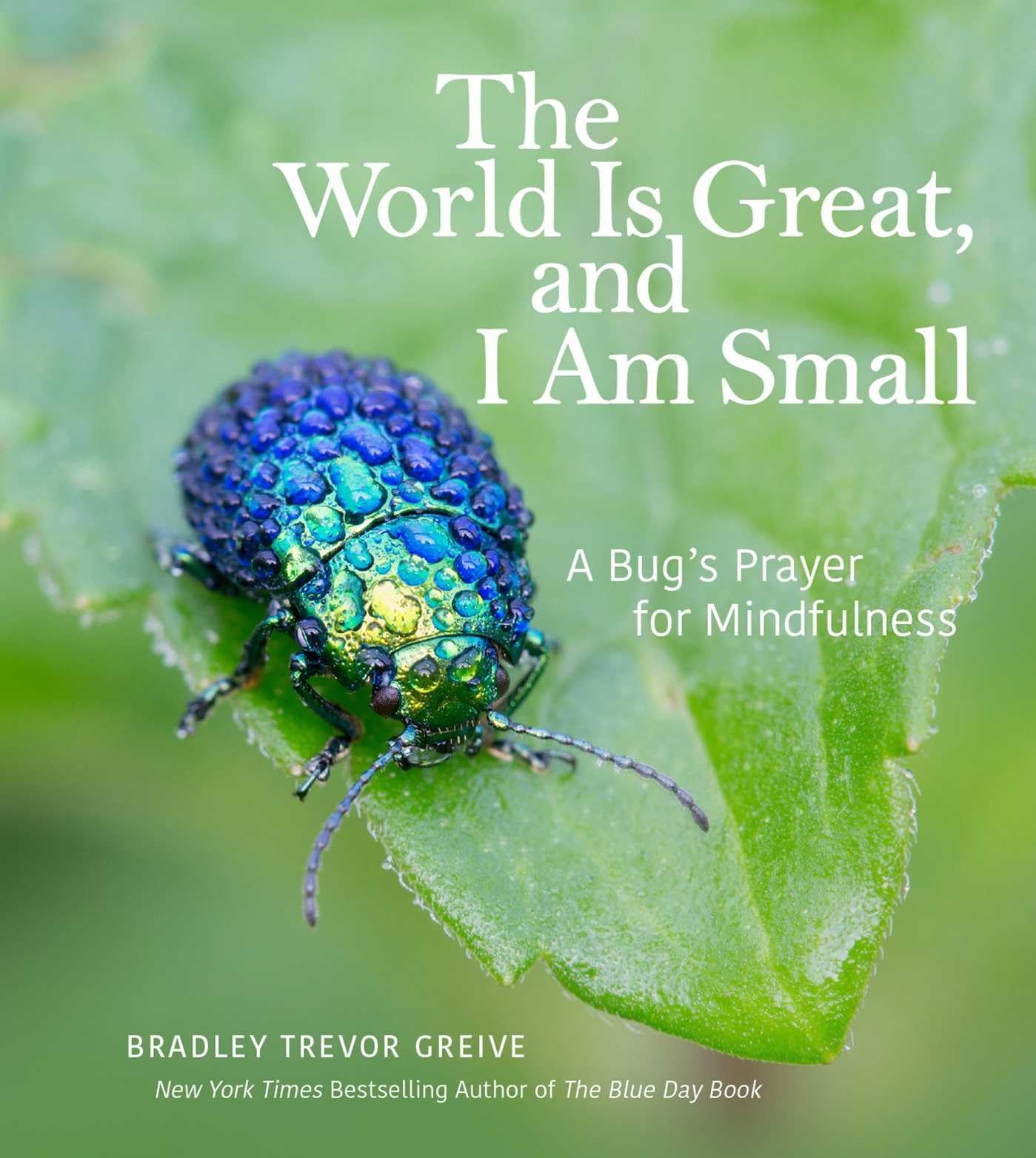 The World Is Great, And I Am Small: A Bug'S Prayer For Mindfulness