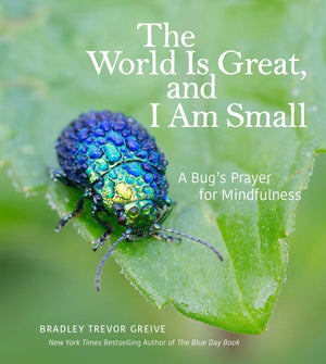 The World Is Great, And I Am Small: A Bug'S Prayer For Mindfulness