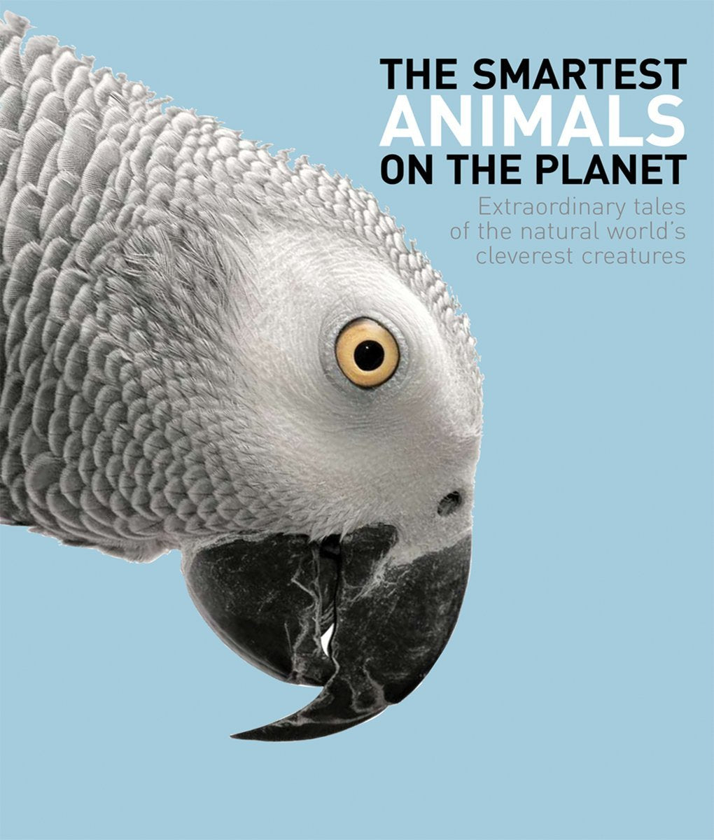 The Smartest Animals on the Planet: Extraordinary Tales of the Natural World's Cleverest Creatures,Used