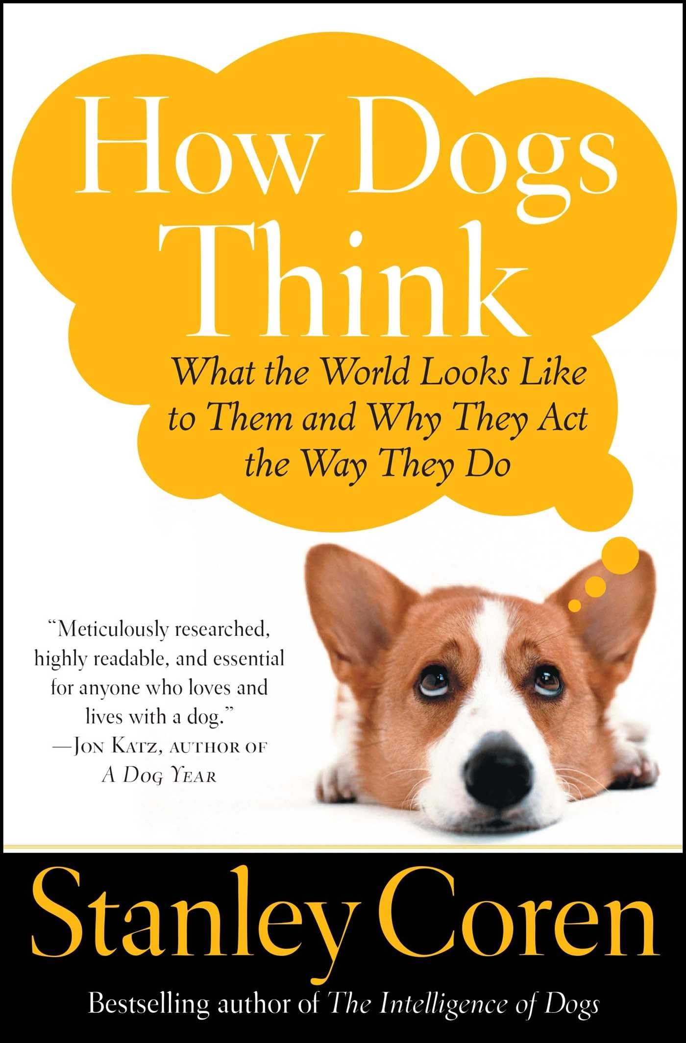 How Dogs Think: What The World Looks Like To Them And Why They Act The Way They Do-used