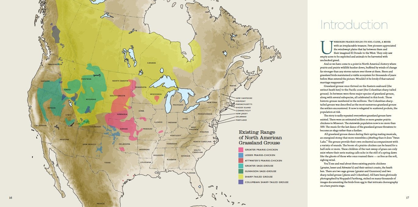 Noppadol Paothong Photography Npp617480 Save The Last Dance-new