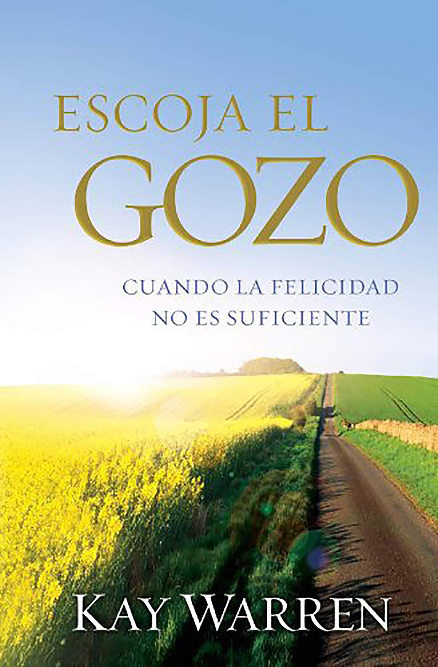 Escoja El Gozo: Cuando La Felicidad No Es Suficiente / Choose Joy: Because Happi Ness Isn'T Enough (Spanish Edition),Used