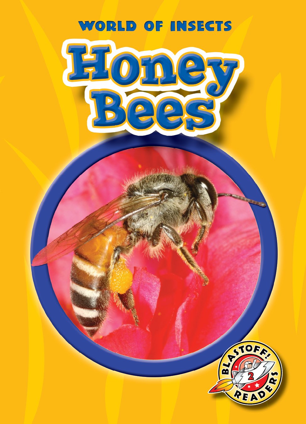 Honey Bees (Paperback) (Blastoff! Readers: World Of Insects) (World Of Insects: Blastoff Readers, Level 2),Used