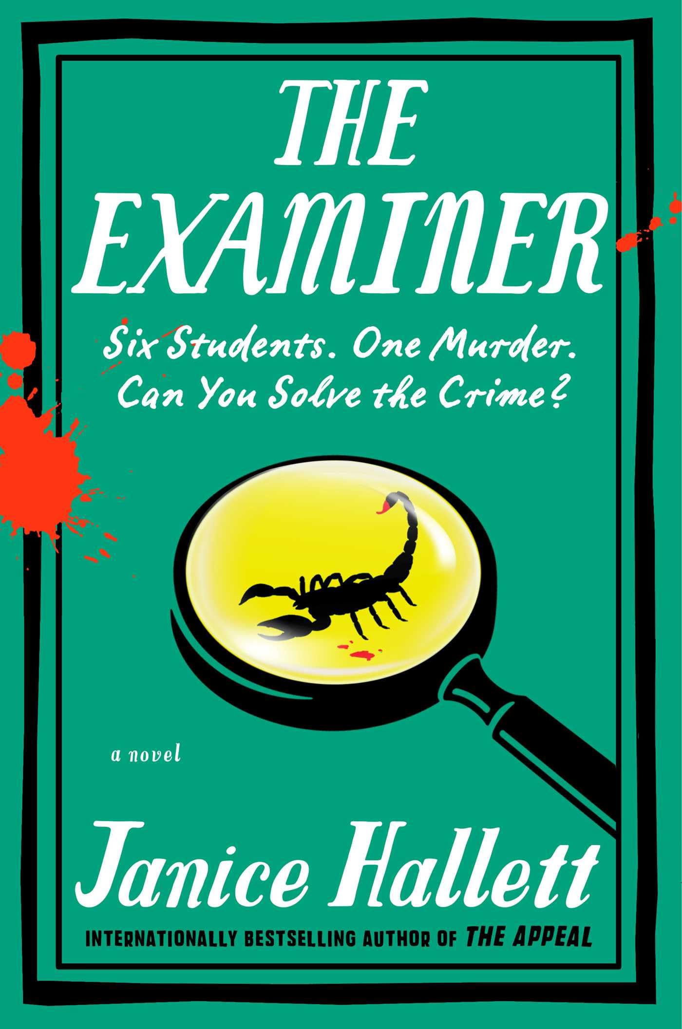 The Examiner: A Novel,New