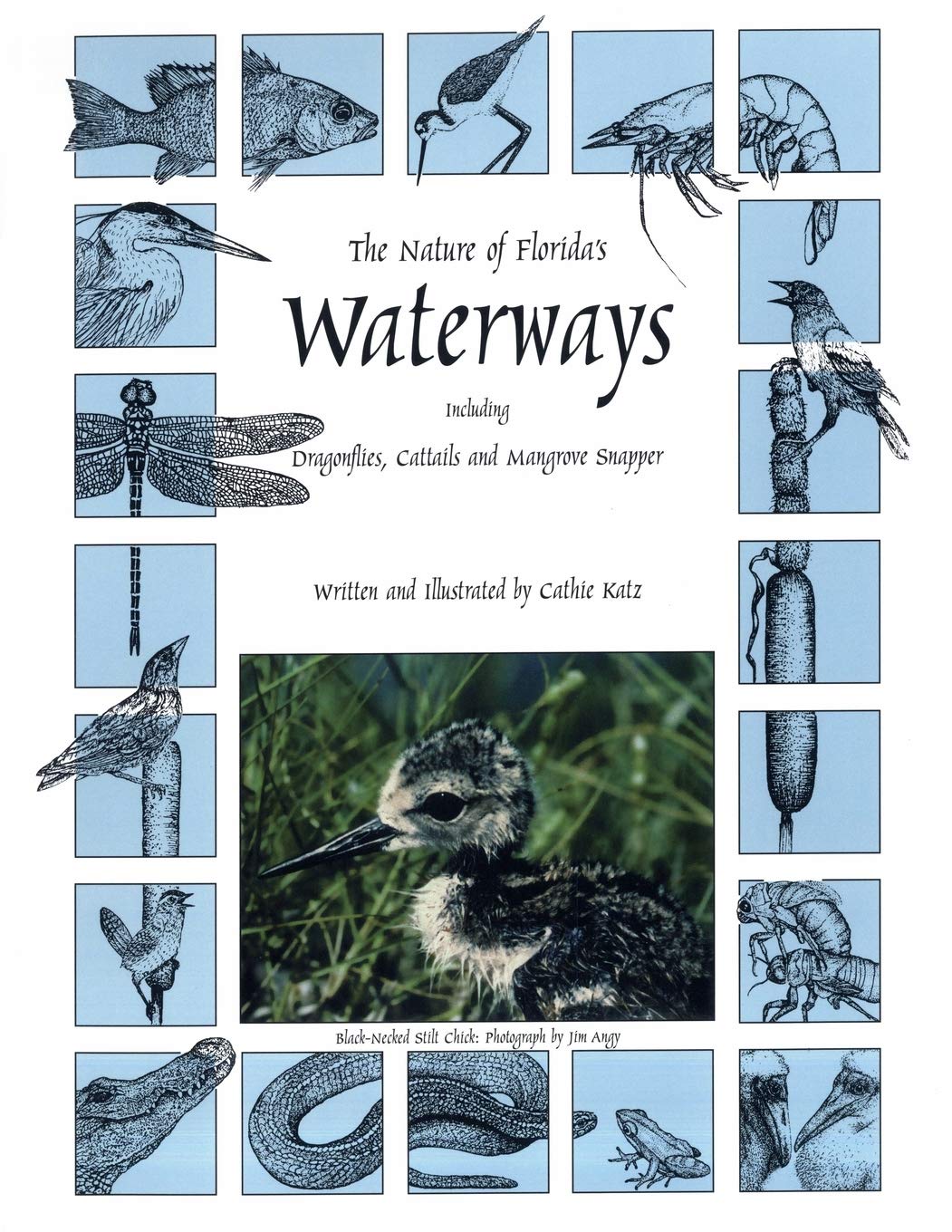 The Nature Of Florida'S Waterways: Including Dragonflies, Cattails, And Mangrove Snapper,Used