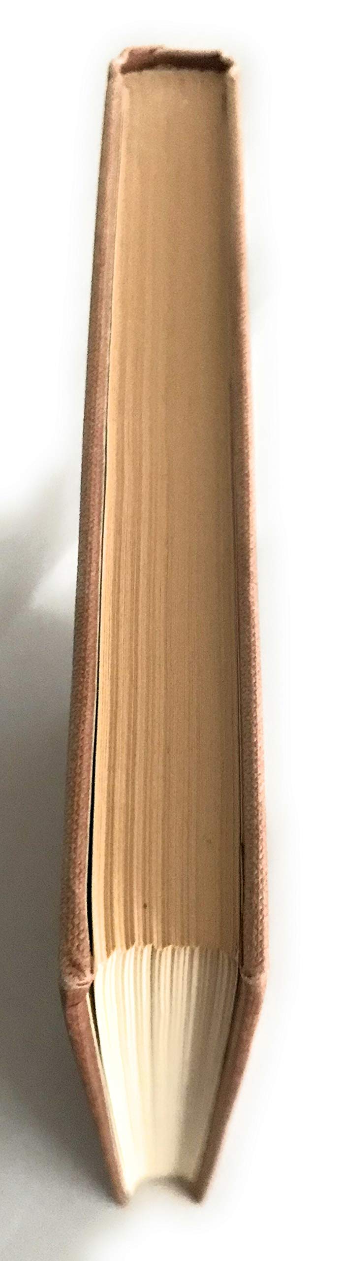 The Conquest Of Poverty,New