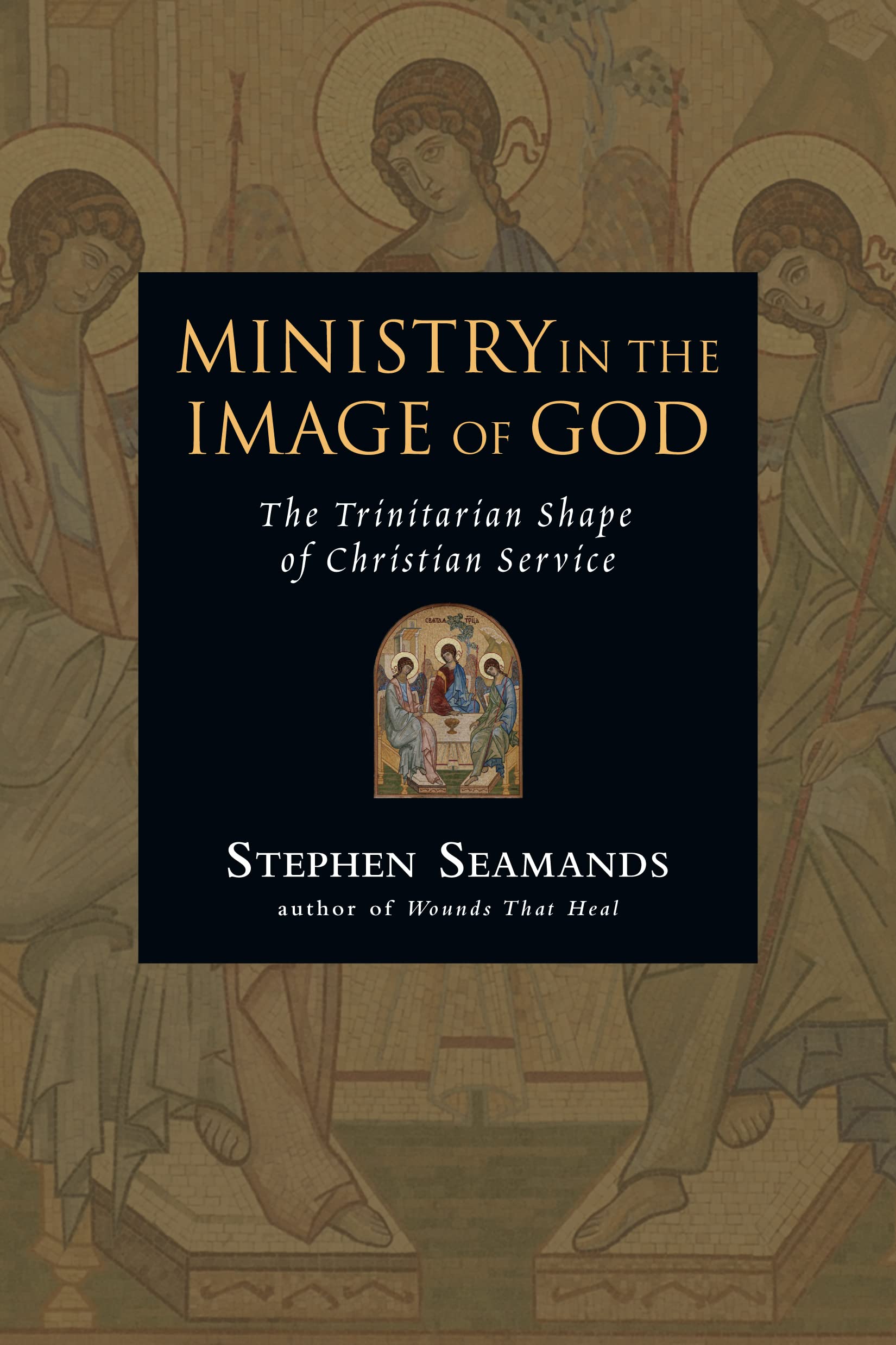 Ministry in the Image of God: The Trinitarian Shape of Christian Service,Used