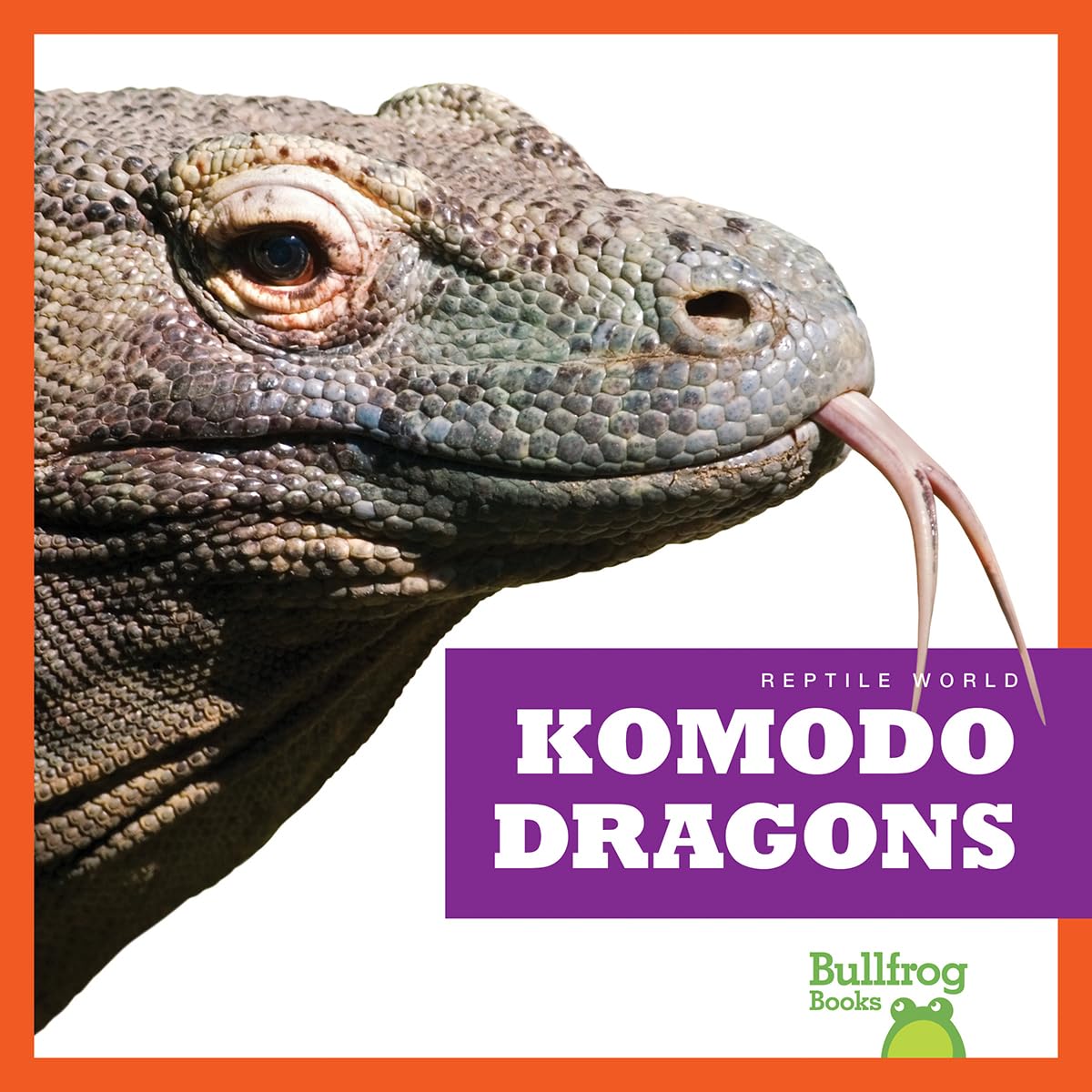 Komodo Dragons (Bullfrog Books: Reptile World),Used