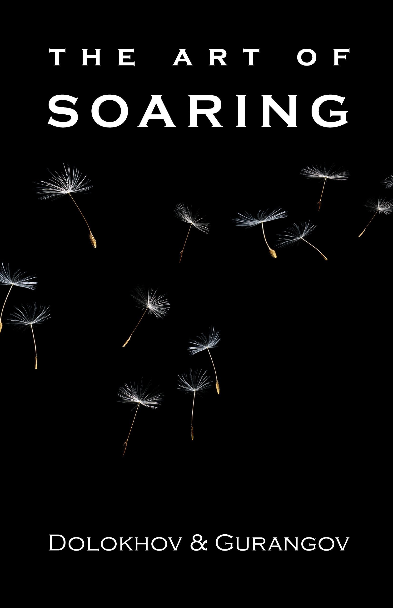The Art Of Soaring,Used