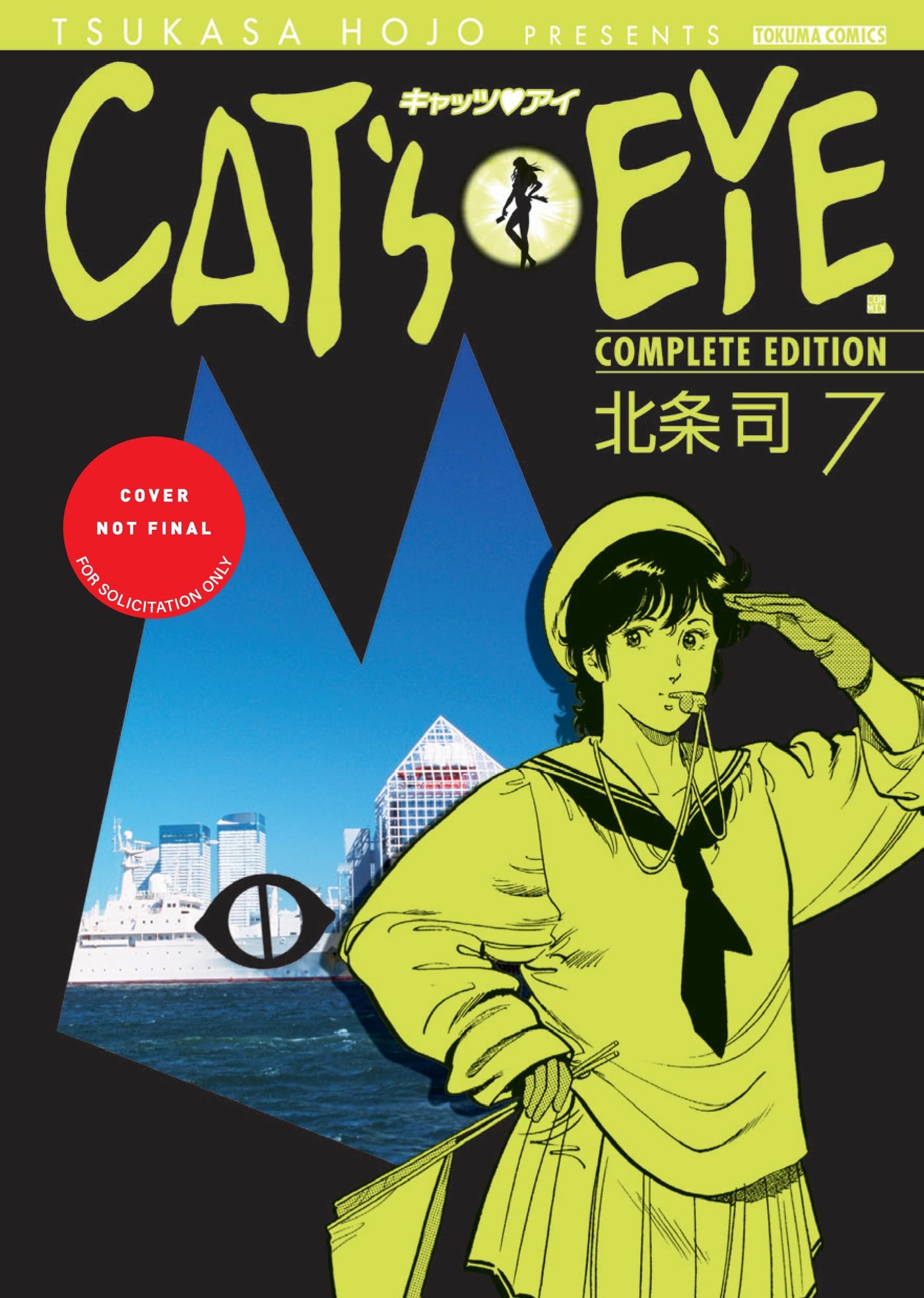 CatS Eye Omnibus Volume 3 (Three Volumes In One): (Manga) (Volume 3)