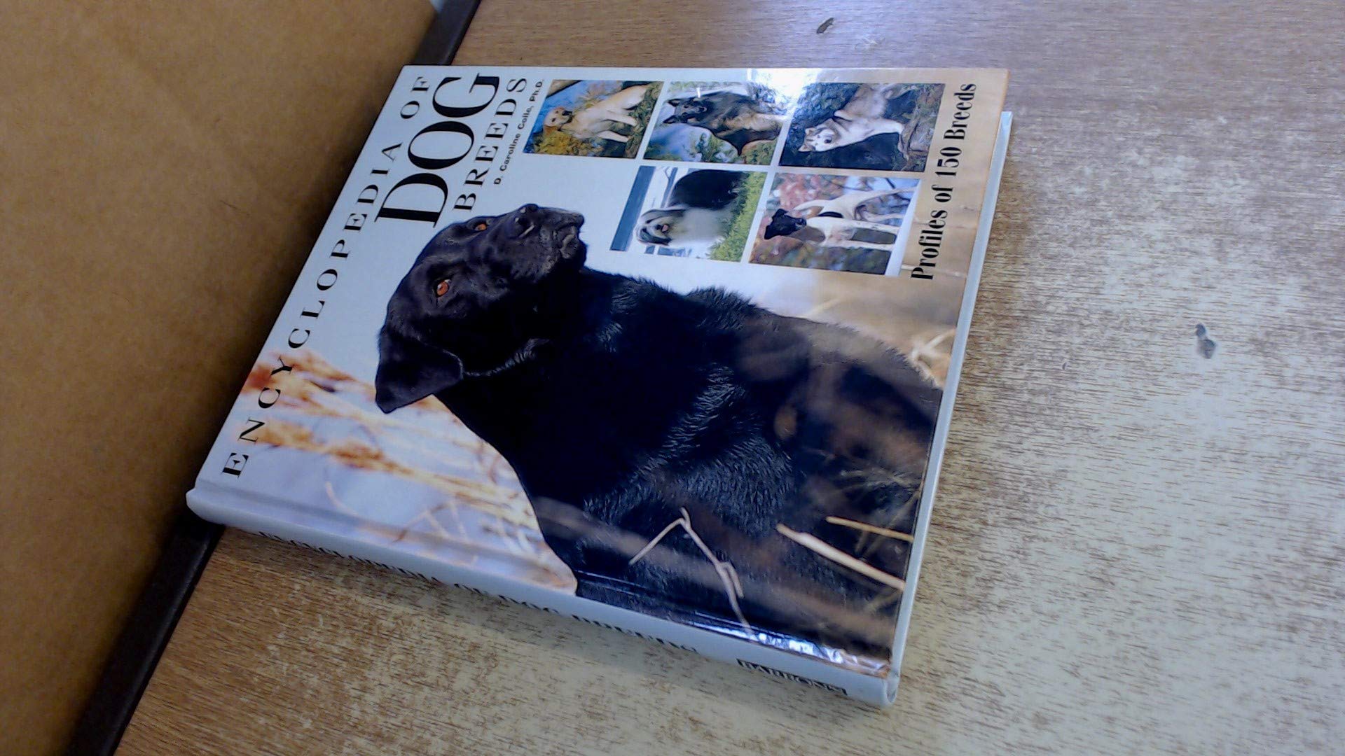 Barron'S Encyclopedia Of Dog Breeds,New