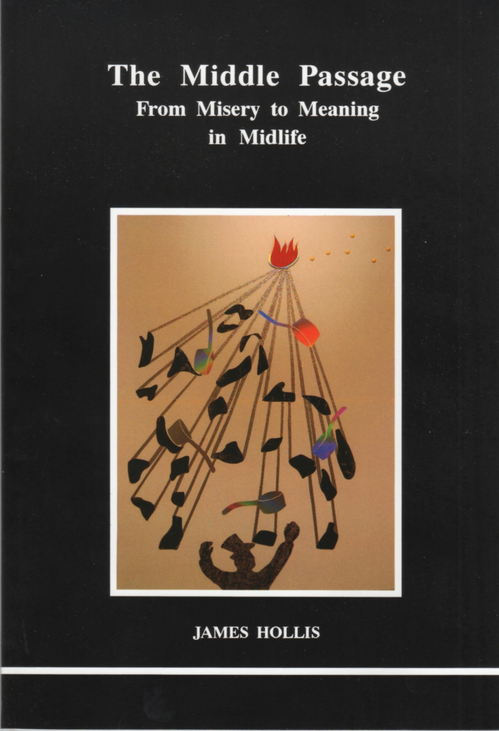 The Middle Passage (STUDIES IN JUNGIAN PSYCHOLOGY BY JUNGIAN ANALYSTS),New