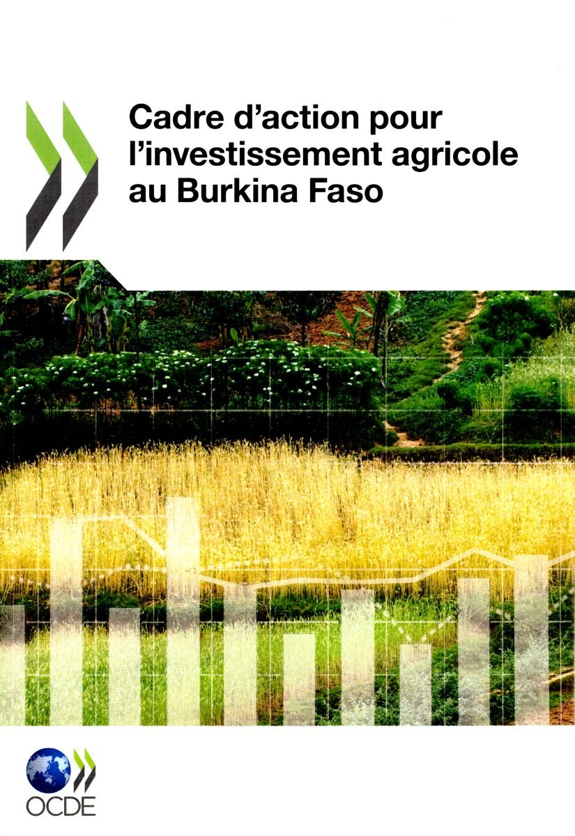 Cadre D'Action Pour L'Investissement Agricole Au Burkina Faso (French Edition),Used