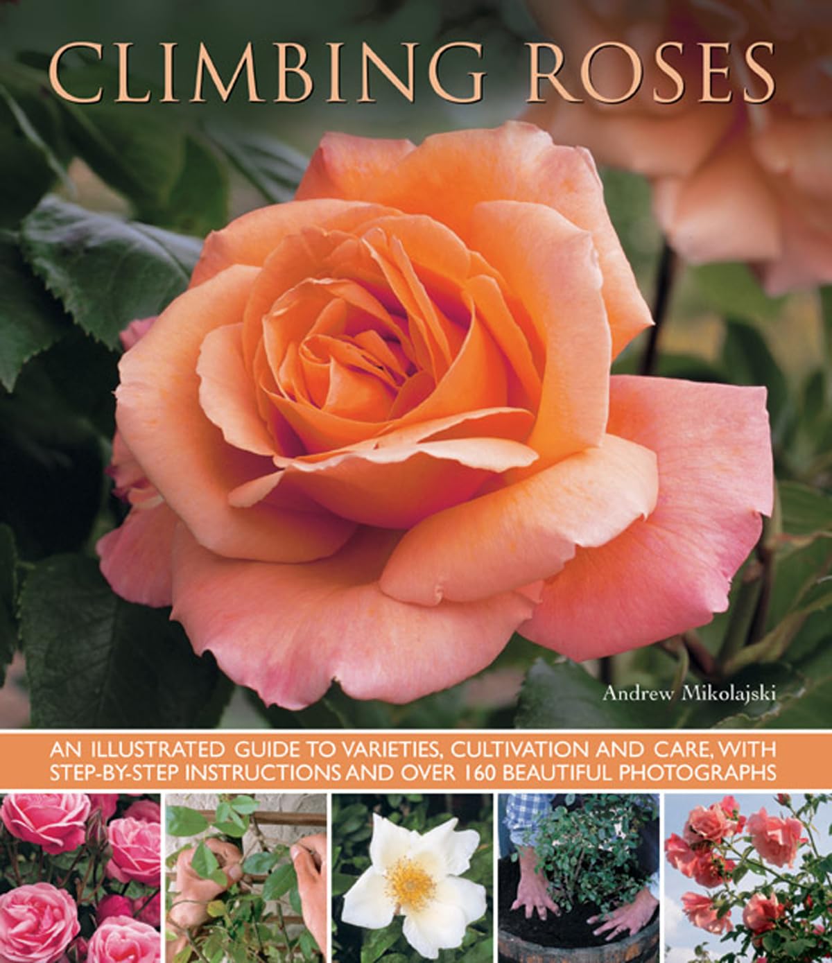 Climbing Roses: An Illustrated Guide to Varieties, Cultivation and Care, With StepByStep Instructions and Over 160 Beautiful P,Used