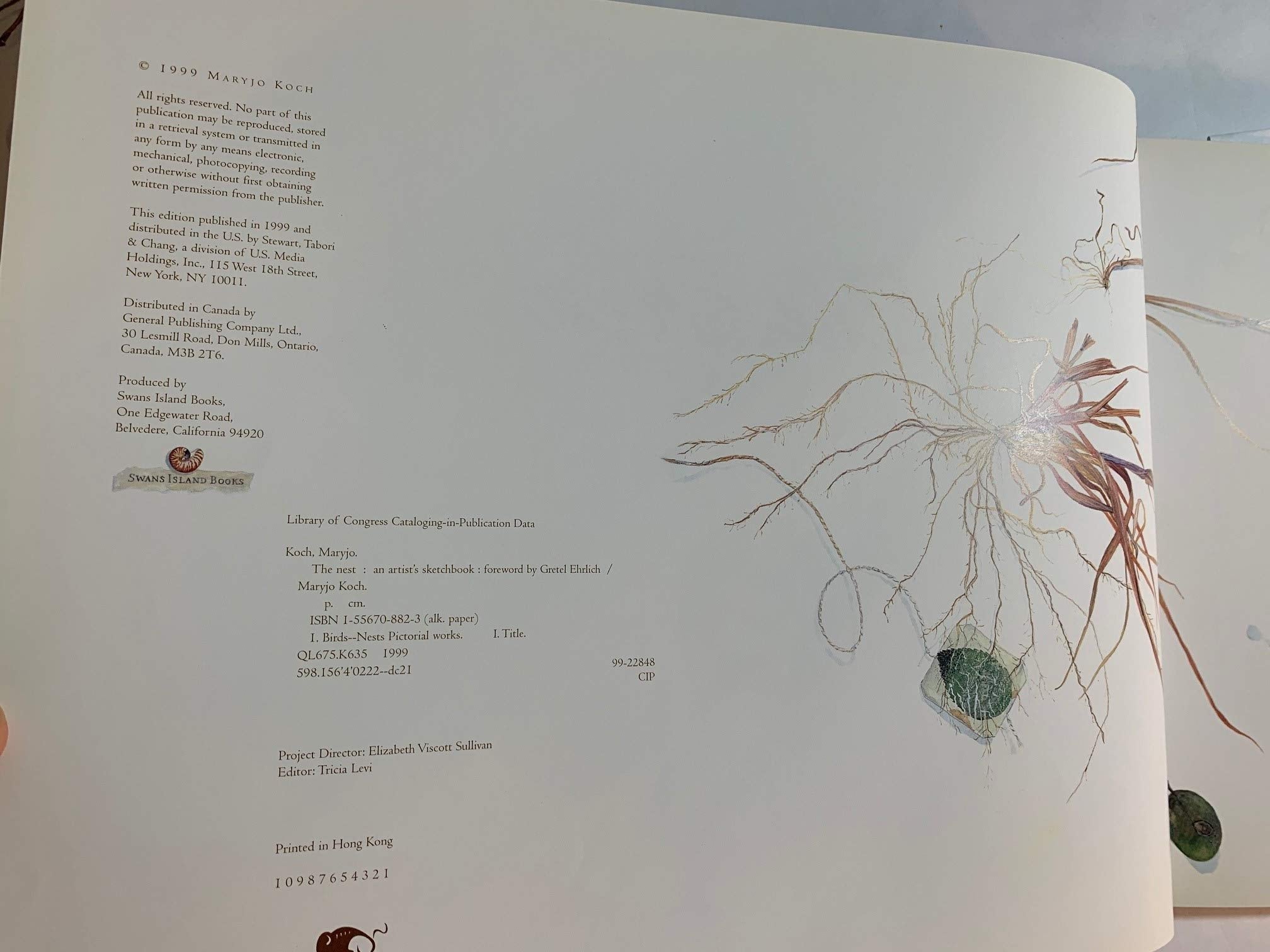 The Nest: An Artist'S Sketchbook