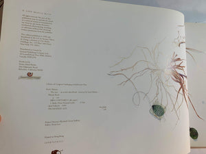 The Nest: An Artist'S Sketchbook