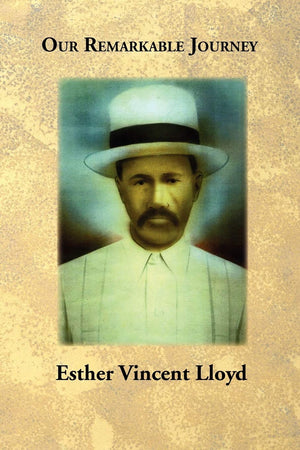 Our Remarkable Journey: A Biographical And Historical Record Of The Vincent / Vinson And Van Hook Families,Used