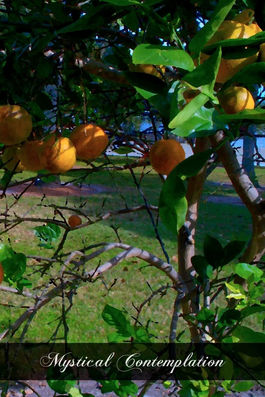 Mystical Contemplation: The Principles Of Mystical Theology,Used