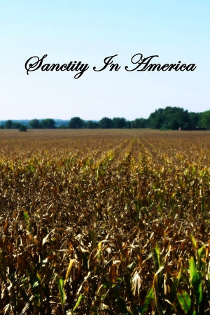Sanctity In America,Used