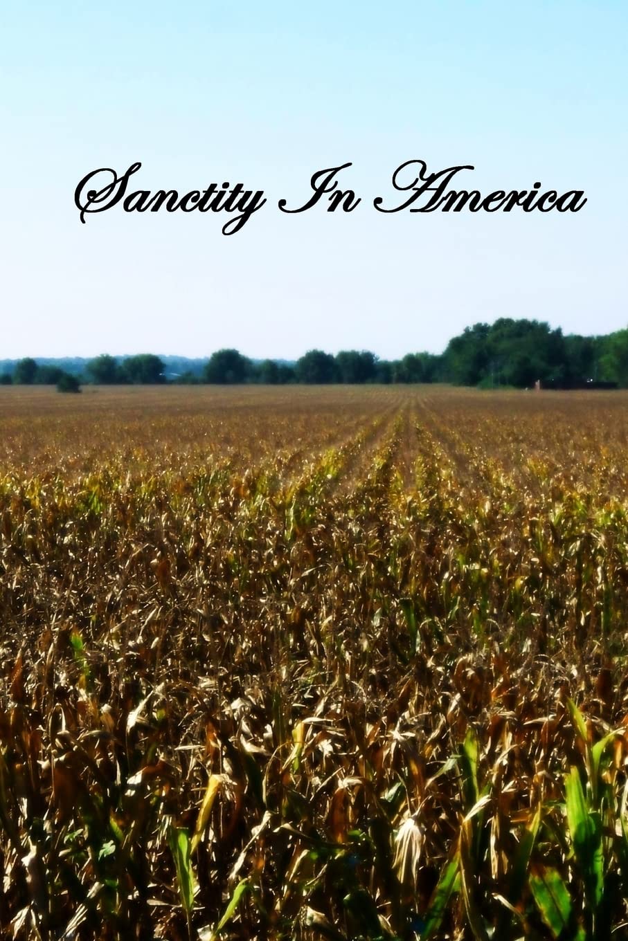 Sanctity In America,Used