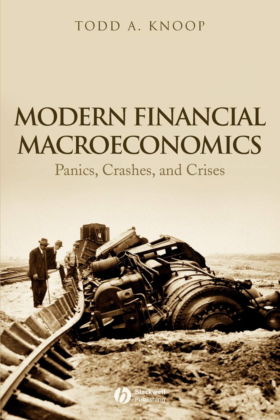 Modern Financial Macroeconomics: Panics, Crashes, and Crises,Used