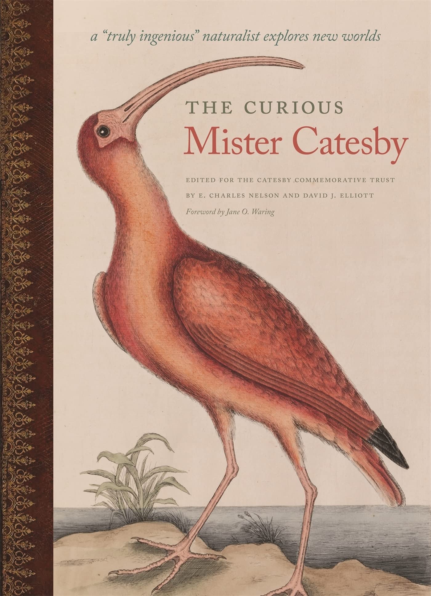 The Curious Mister Catesby: A 'Truly Ingenious' Naturalist Explores New Worlds (Wormsloe Foundation Nature Books),Used