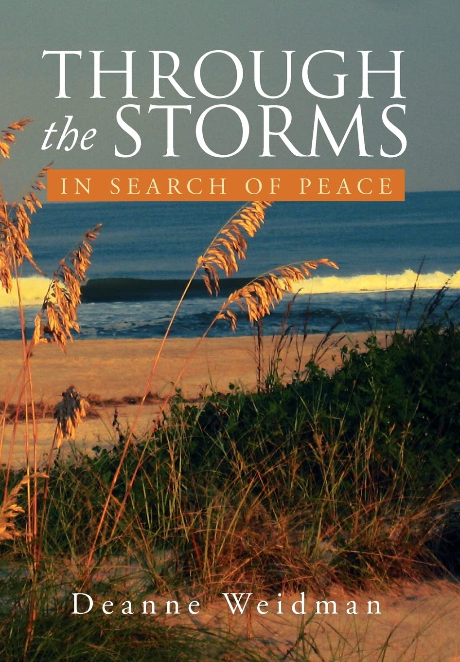 Through The Storms: In Search Of Peace,Used