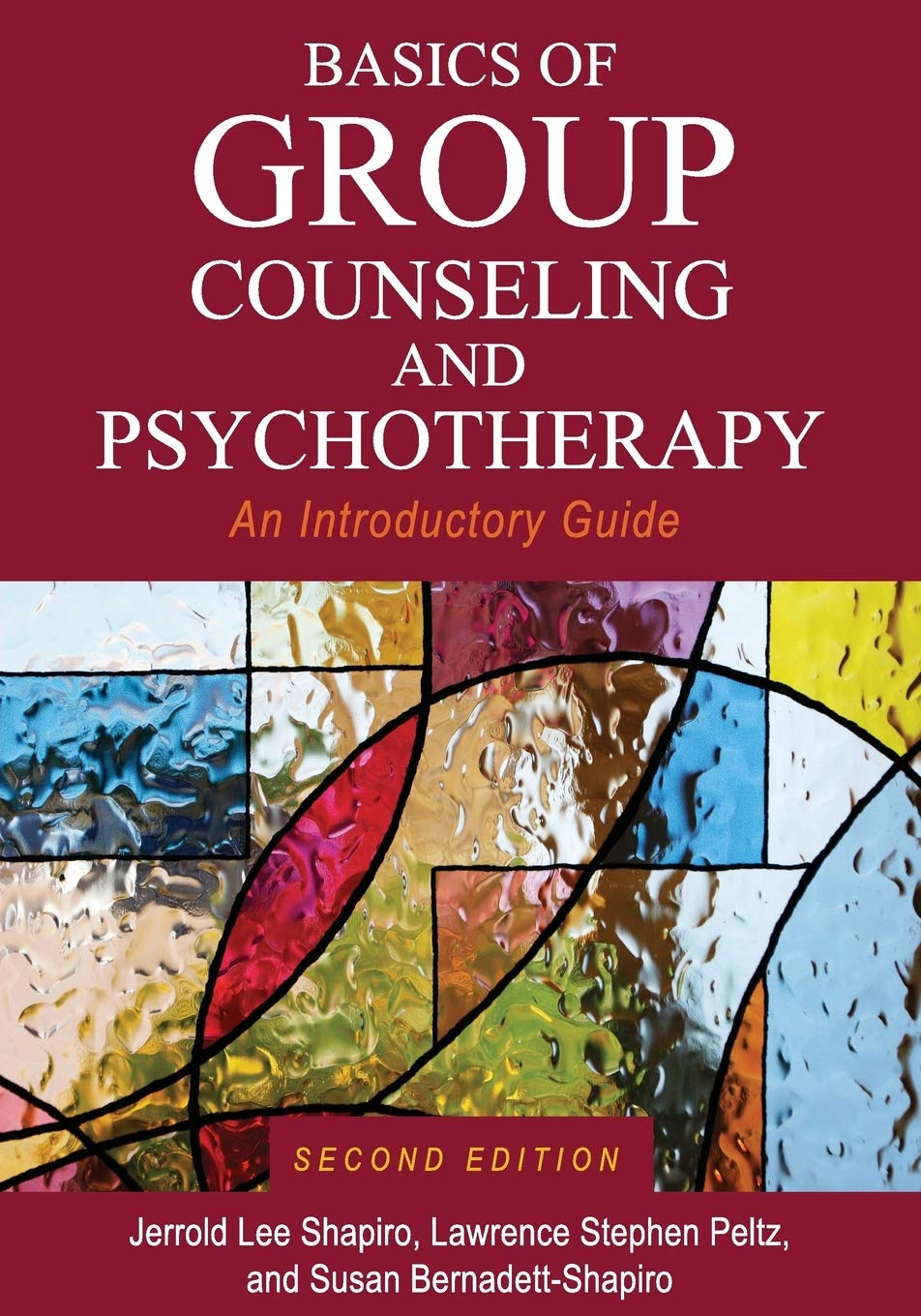 Basics of Group Counseling and Psychotherapy: An Introductory Guide,Used
