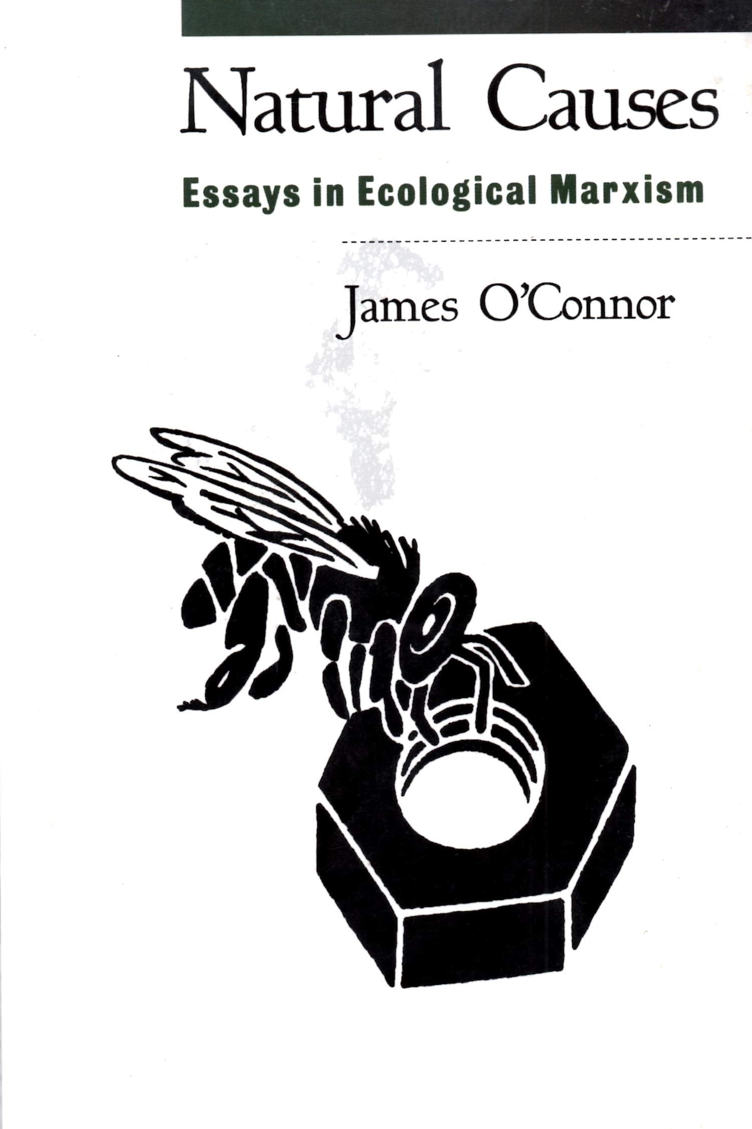 Natural Causes: Essays In Ecological Marxism