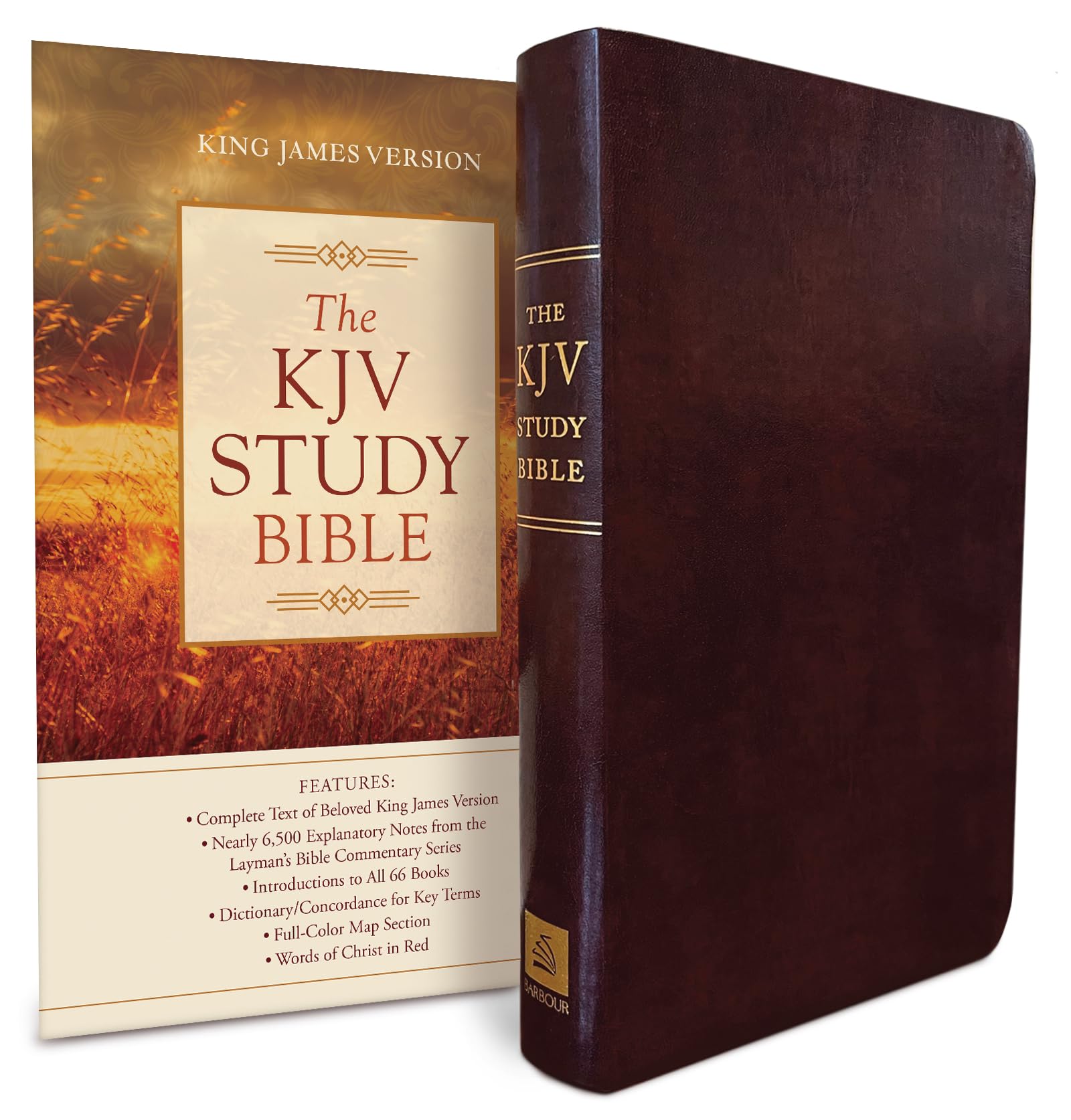 The Kjv Study Bible (Bonded Leather) (King James Bible)