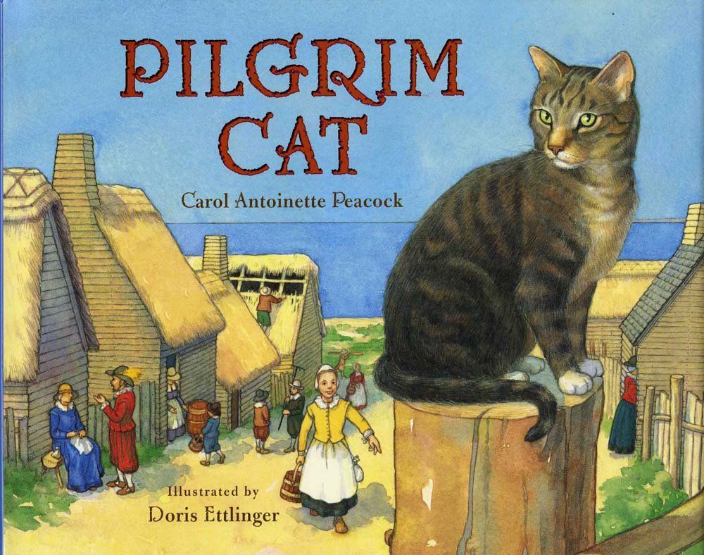 Pilgrim Cat,Used