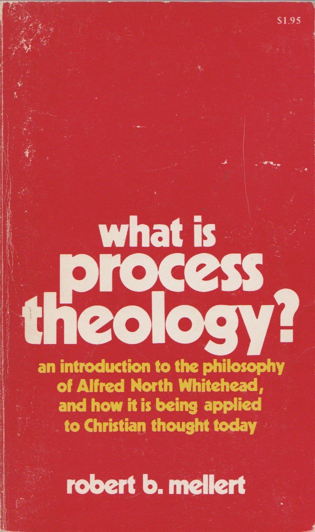 What is process theology? (Deus books),Used