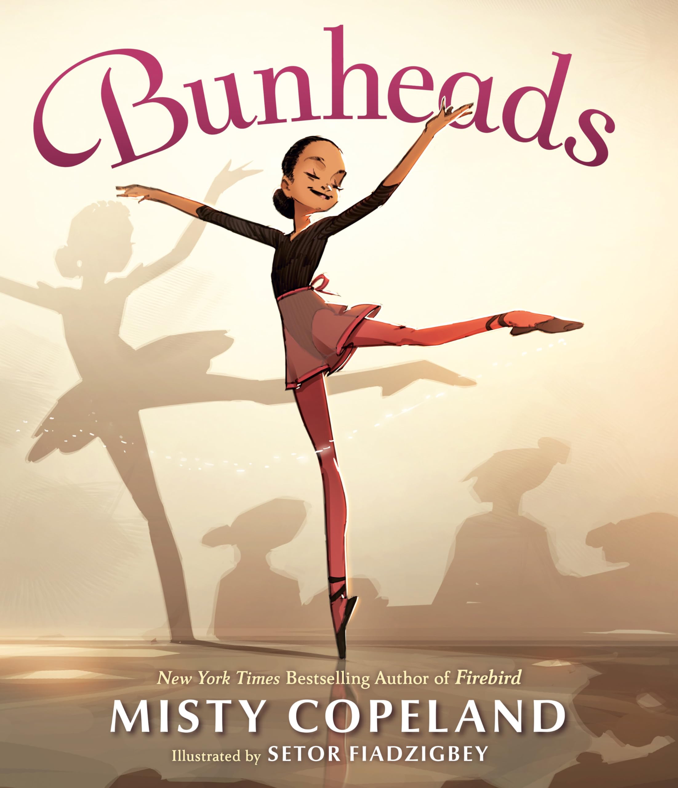 Bunheads-used