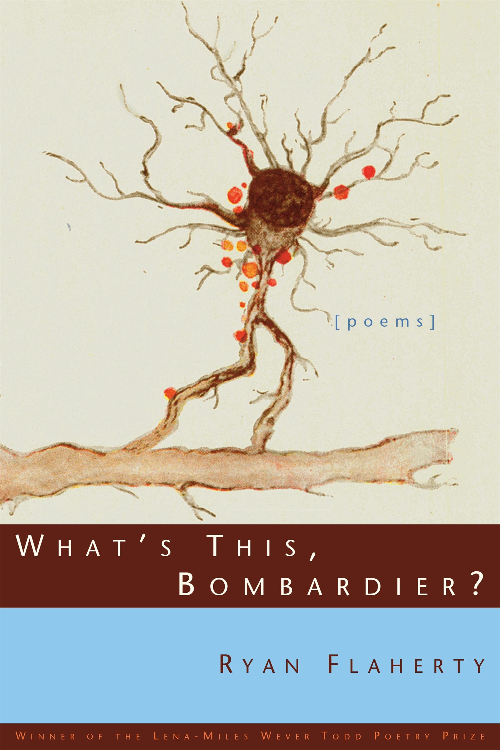 What'S This, Bombardier?: Poems (Lenamiles Wever Todd Poetry Series Award),Used