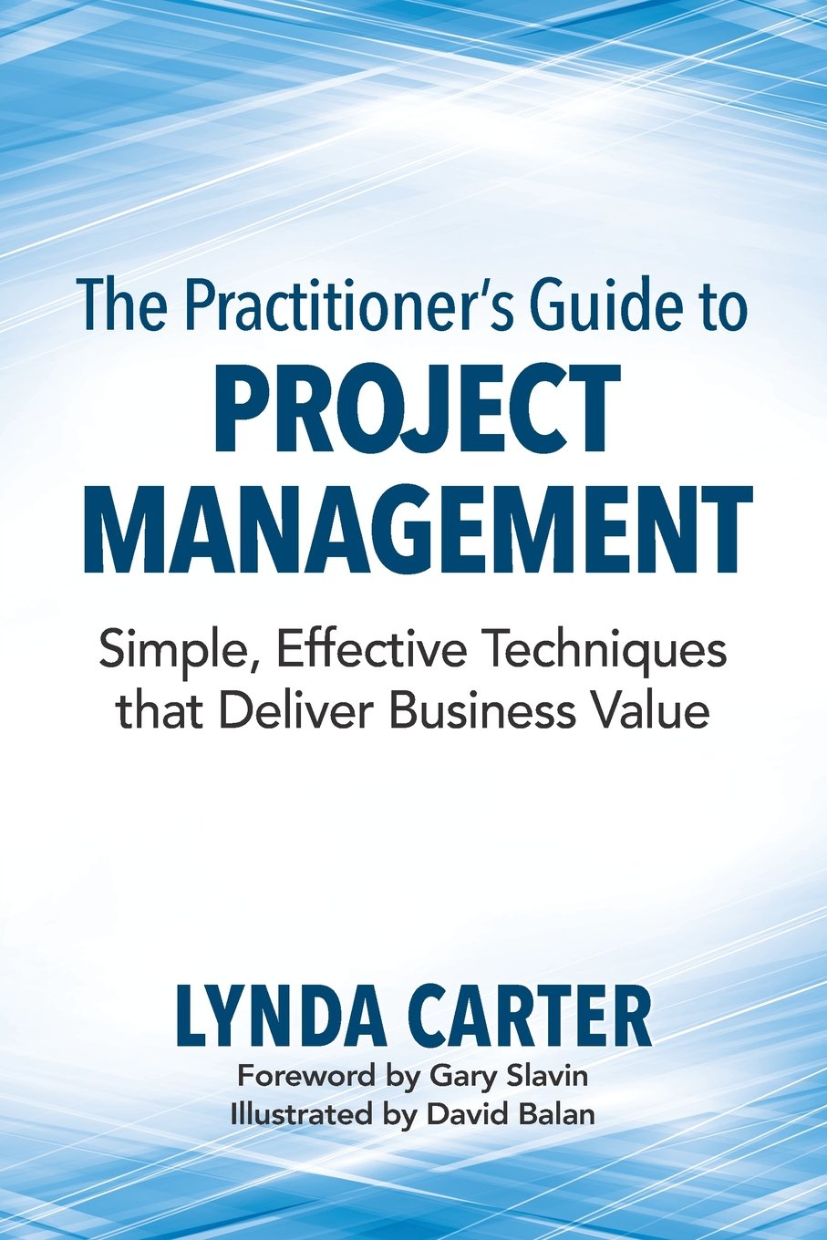The Practitioner's Guide to Project Management: Simple, Effective Techniques That Deliver Business Value,Used