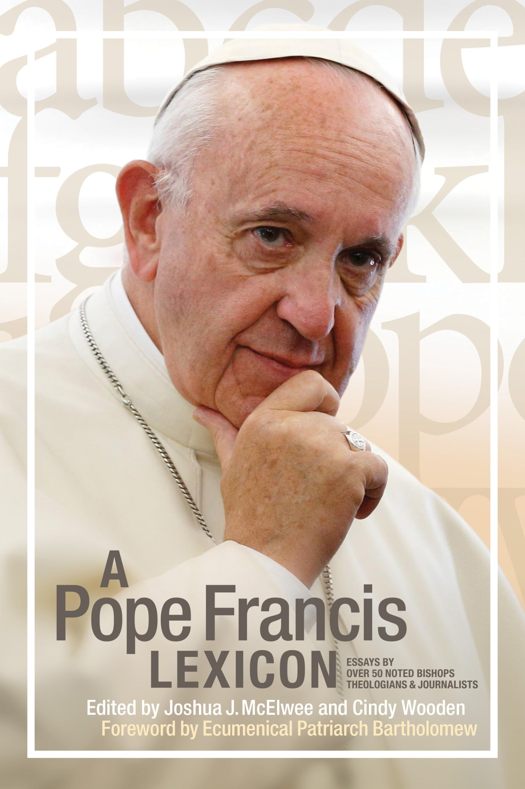 A Pope Francis Lexicon,Used