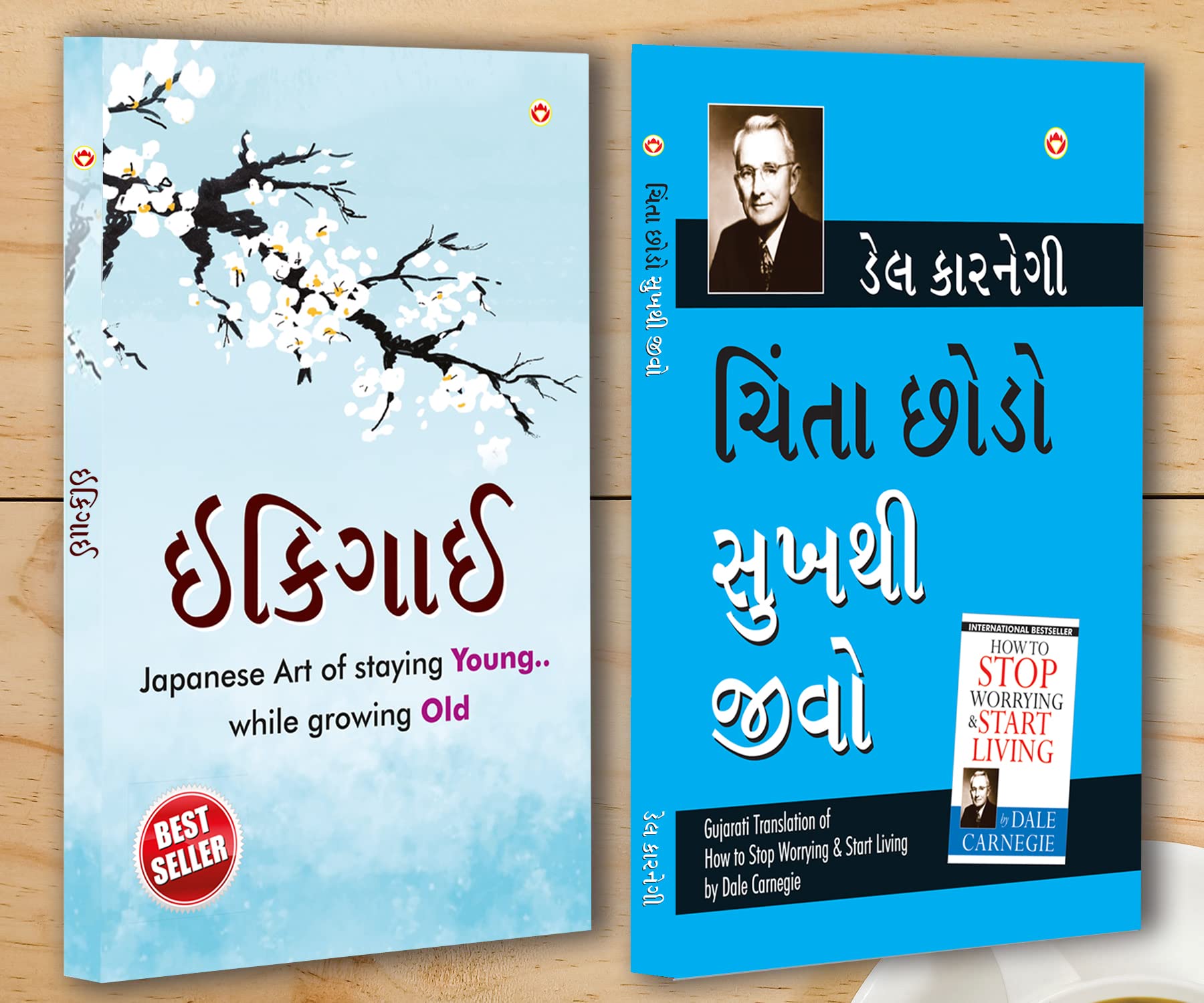 Best Motivational Books In Gujarati - Ikigai + How To Stop Worrying & Start Living