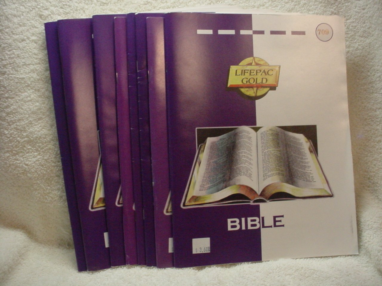 How to Share Christ (Lifepac Bible Grade 9),Used