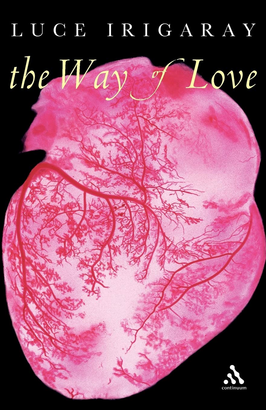 Way Of Love (Athlone Contemporary European Thinkers),Used