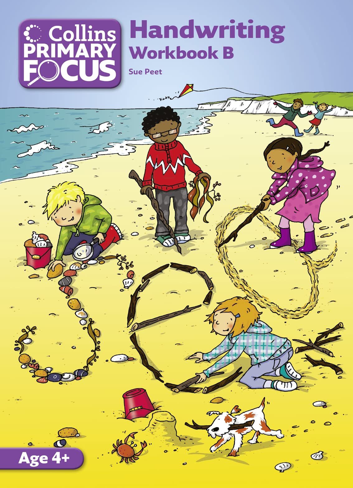Workbook B: Handwriting (Collins Primary Focus),Used