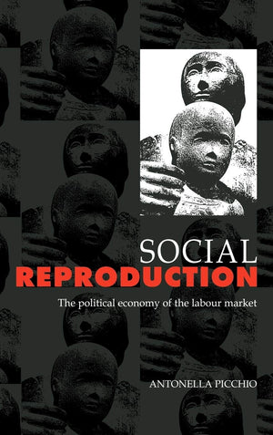 Social Reproduction: The Political Economy of the Labour Market,Used