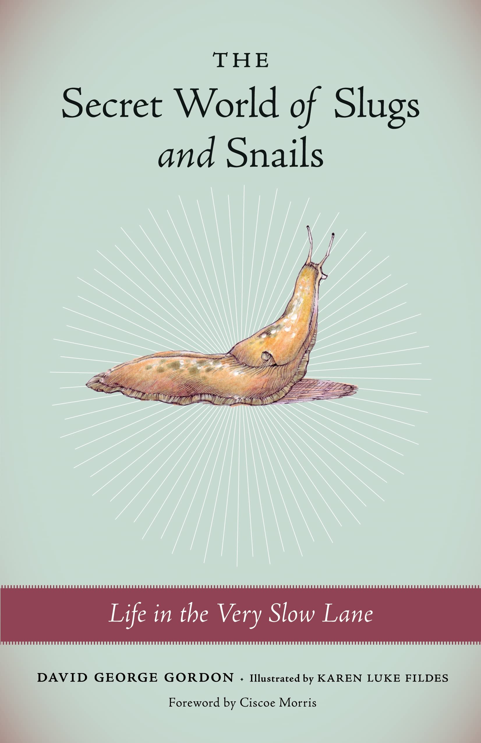 The Secret World Of Slugs And Snails: Life In The Very Slow Lane