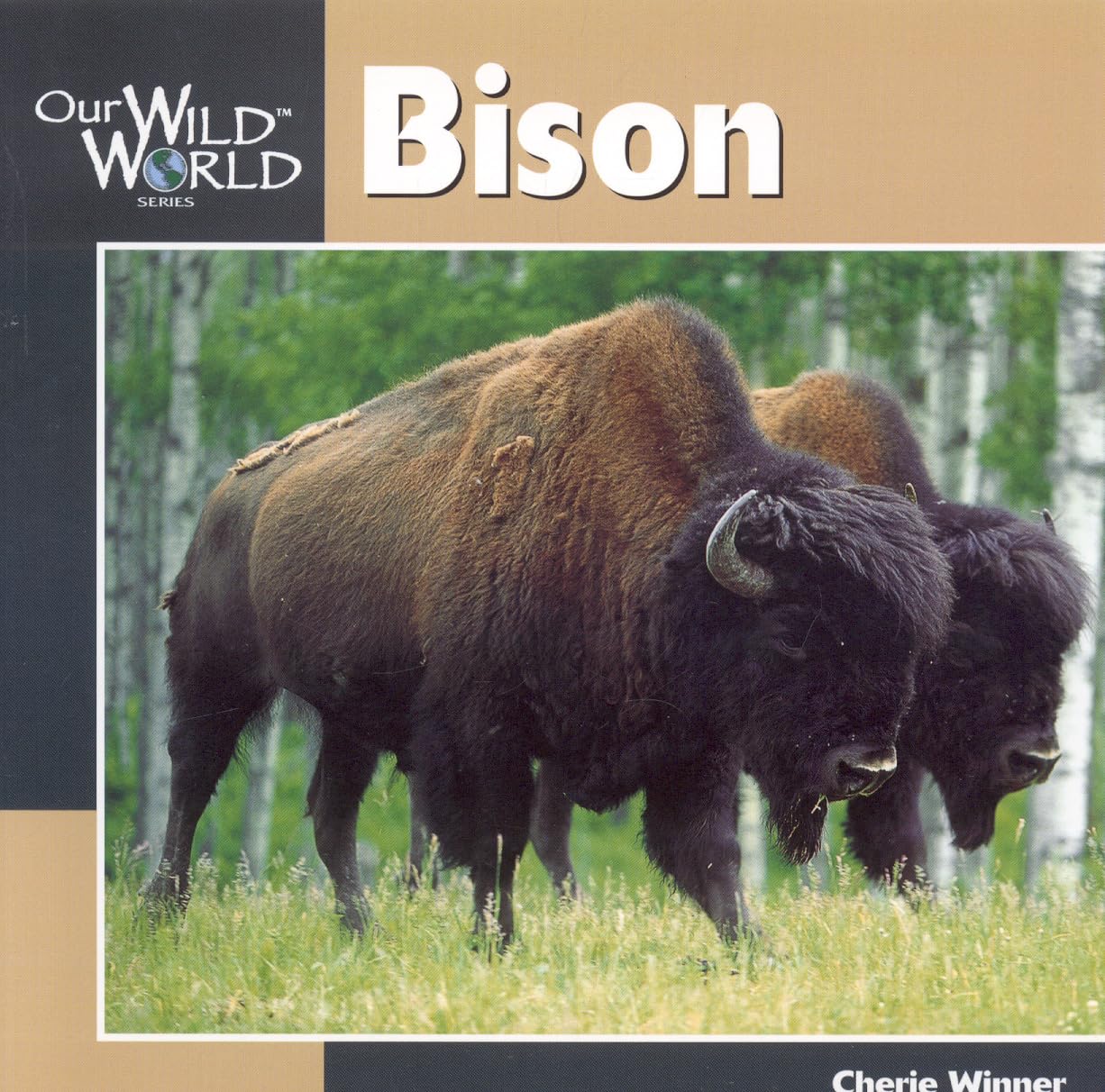 Bison (Our Wild World)