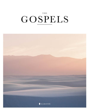 NLT Gospels Hardcover  Alabaster Bible,Used