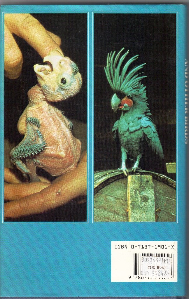 HandRearing Parrots and Other Birds,New